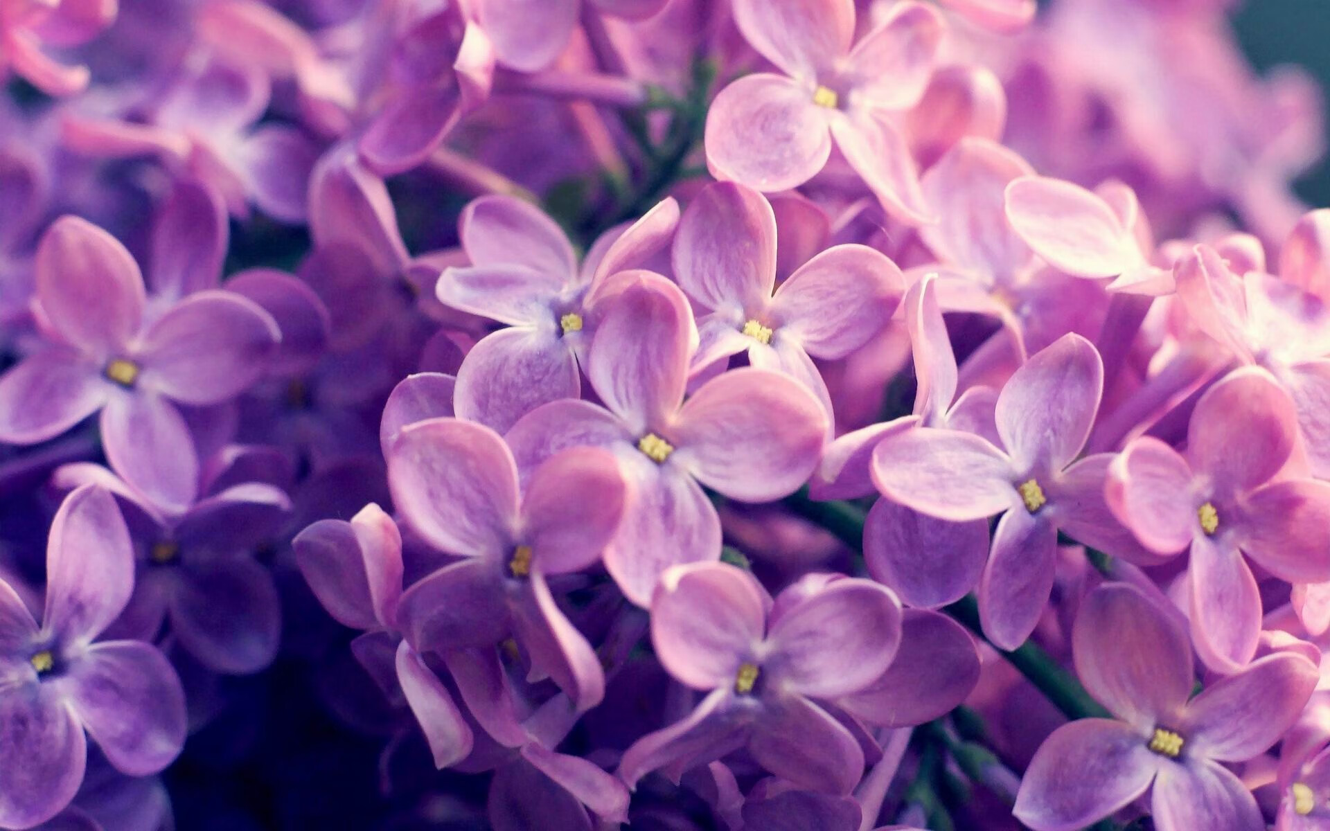 开云esport-中国男篮全队严守训练纪律,2020-2021赛季中国男子篮球职业联赛纪律准则